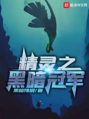 精灵之黑暗冠军142
