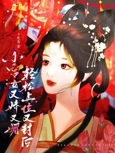 小宫女与皇上的