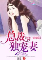 @learn一胎双宝-总裁娶妻套路多