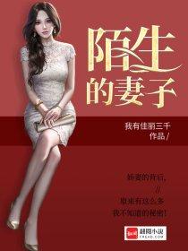 陌生人妻是什么