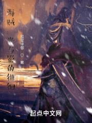 海贼:光与影的徘徊