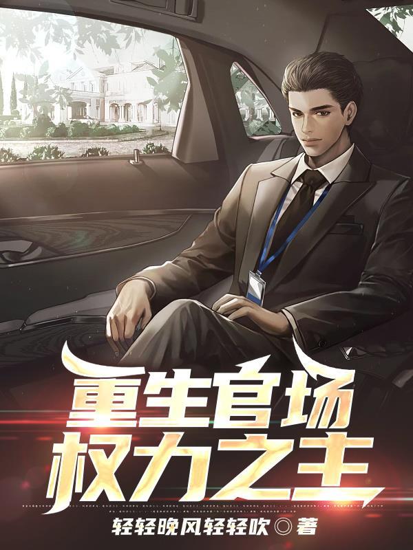 重生官场:权力之主