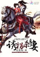 腹黑大将军:诱拐杀手妻