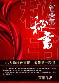 官途:第一秘书