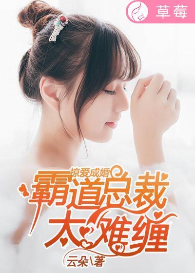 掠爱成婚:霸道总裁太难缠