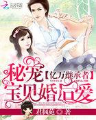 亿万继承者:秘宠宝贝婚后爱