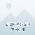 圣堂至尊
